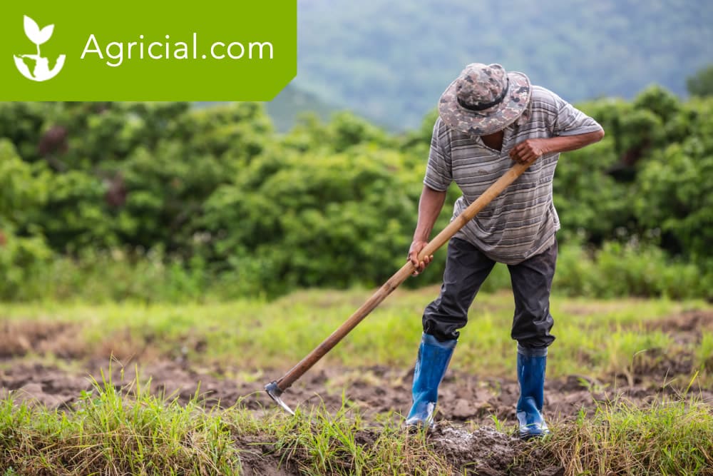The Crucial Role of Farmers in Modern Society